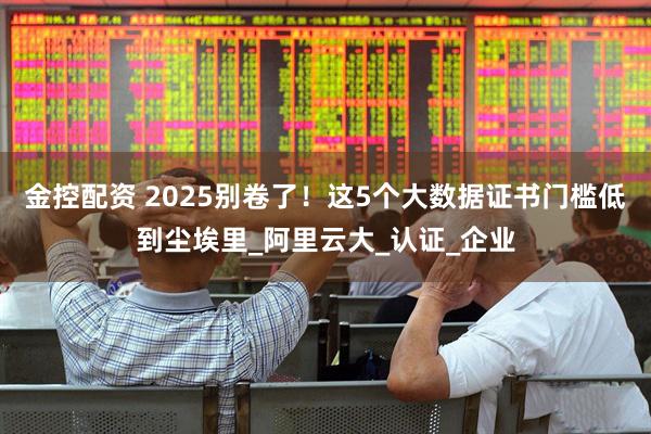 金控配资 2025别卷了！这5个大数据证书门槛低到尘埃里_阿里云大_认证_企业