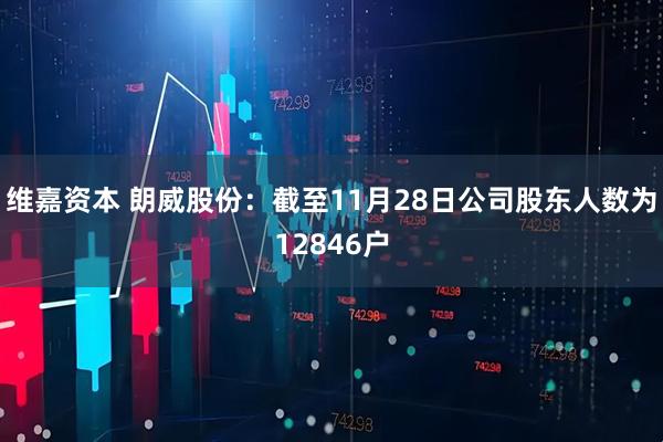维嘉资本 朗威股份：截至11月28日公司股东人数为12846户